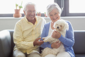 Senior Couple with Cute Puppy