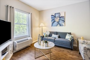 Comfortable retirement home living room