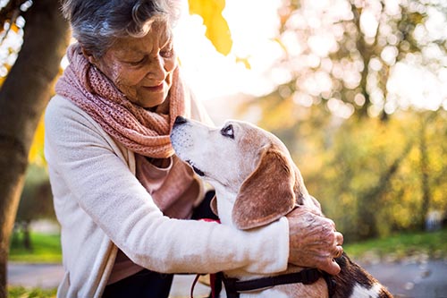 Old woman with her dog in the park