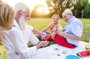 Group of Senior People having Picnic on Park 
