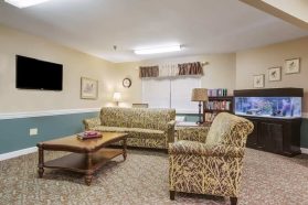 Comfortable retirement home living room interior