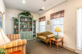 Comfortable library for senior