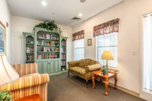Comfortable library for senior