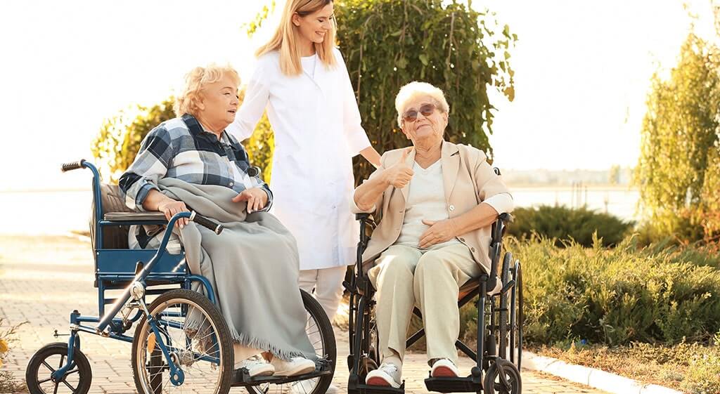 Things To Note As A Primary Caregiver For The Elderly TerraBella