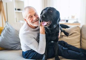 Old man sitting on the sofa with his dog