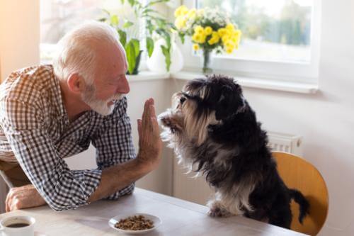 An old man giving high fives to his dog