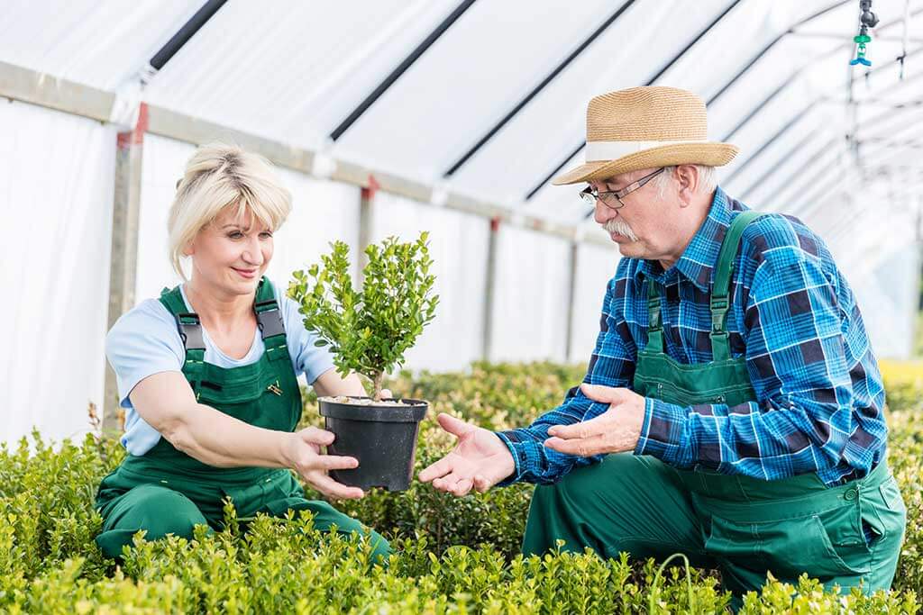 Easy Planting Tips For Seniors In An Assisted Living TerraBella