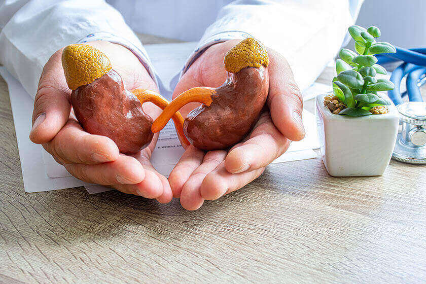 How to improve kidney function in your elderly loved one terrabella