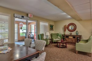 Comfortable retirement home living room interior