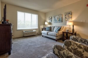 Comfortable movie room for senior