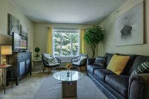 Comfortable retirement home living room interior