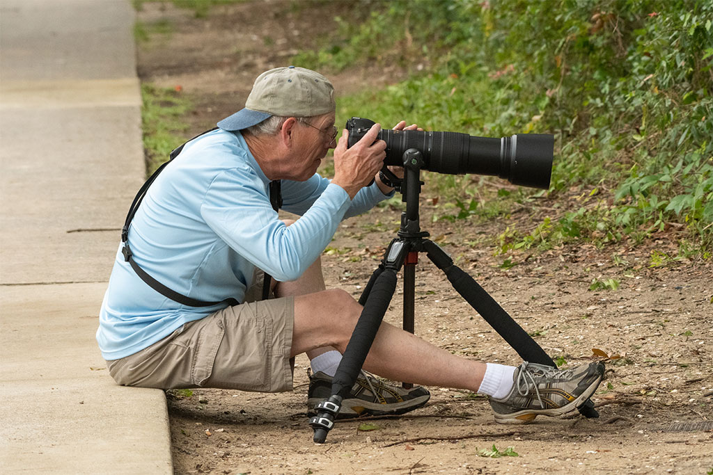 Is Taylors, SC A Good Town For Retirement? TerraBella