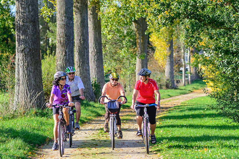 Things Your Elderly Parent Can Do In Hillsborough, NC TerraBella